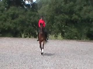 Video Player